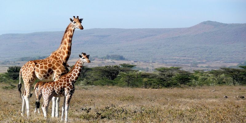 Kenya